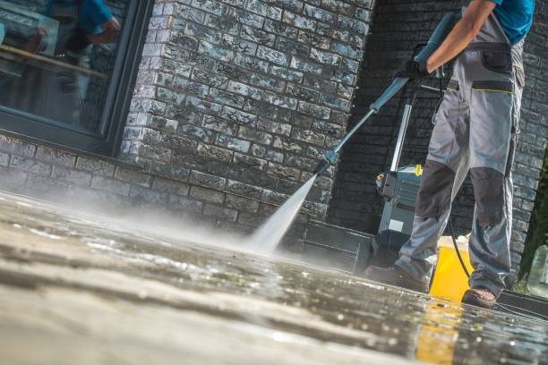 Animal Enclosure Cleaning in North Boston, NY